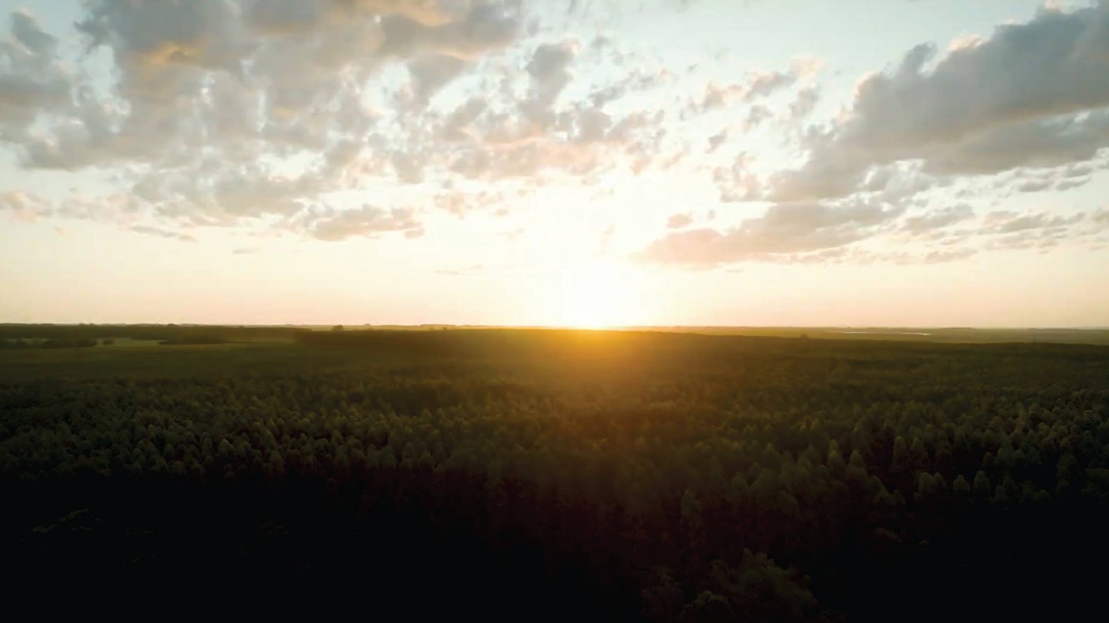 Leia mais sobre o artigo Institucional InexPort